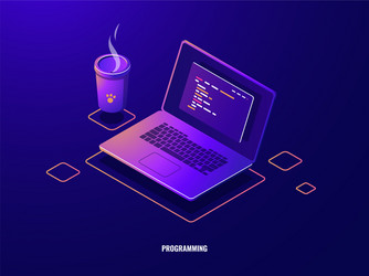 laptop with program code isometric icon software vector