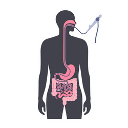 Sphincter Vector Images (over 640)