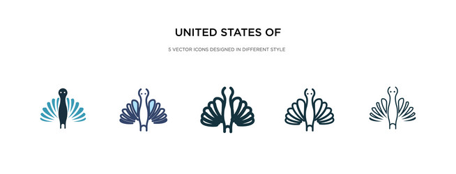 United states america icon in different style vector