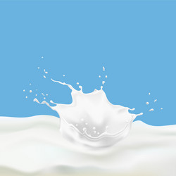 abstract realistic milk drop with splashes vector image