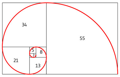 Minimalistic style design golden ratio geometric Vector Image