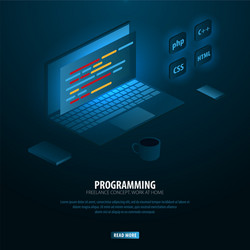 Isometric Programming & Coding Tech vector image