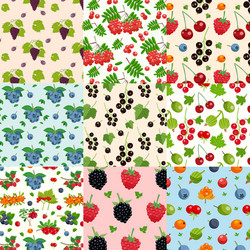 set of nine seamless berries patterns vector image