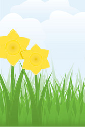 Spring Daffodils vector image