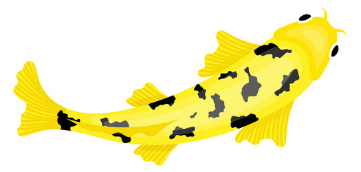 Koi Fish Top View Vector Images (over 150)