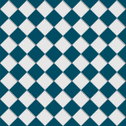 pattern with squares vector image