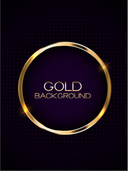 abstract card with golden frame vector image