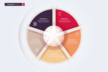 five option cycle infographic chart vector image