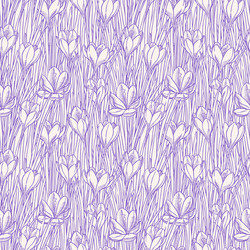 seamless background with sketch crocuses vector image