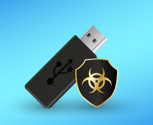 usb flashdrive with a protection shield antivirus vector