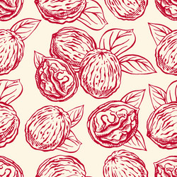 seamless background with walnuts vector image