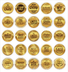 golden retro badges and laurel wreaths collection vector