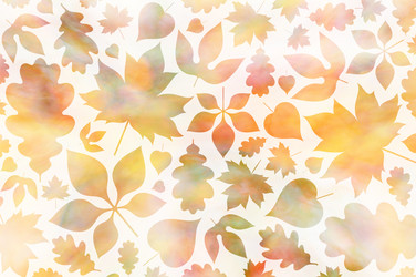 Autumn background with falling maple and oak leaf vector