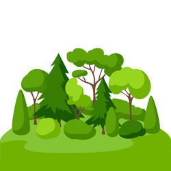 background with trees spruces and bushes vector