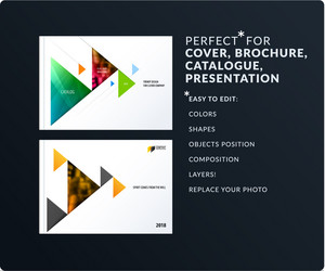 Triangular Presentation Template vector image