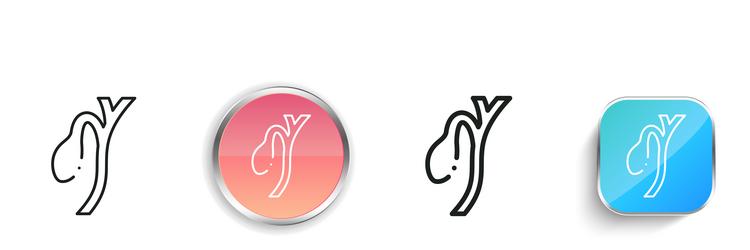 gallbladder icon thin linear regular and button vector image