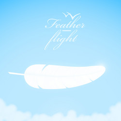 White feather in the sky background vector