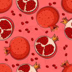 Pomegranate Seamless Pattern vector image
