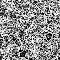 seamless pattern with abstract spots monochrome vector image