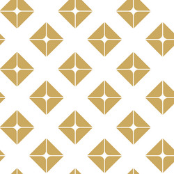 abstract geometric pattern with square lines vector image