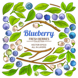 Blueberry Elements Set - Botanical Collection Vector Image