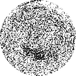 black circle with ink blobs vector image