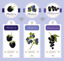 Berry Cosmetic Banner - Natural Beauty Vector Image