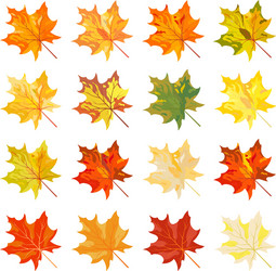 Autumn Leaf Set - Colorful Maple Leaves Vector Image