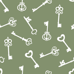 seamless pattern with keys vector image