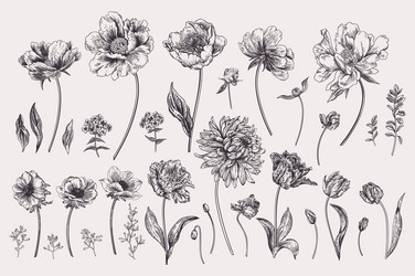 Set with spring flowers Royalty Free Vector Image