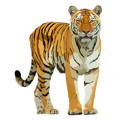 Tiger realistic icon vector