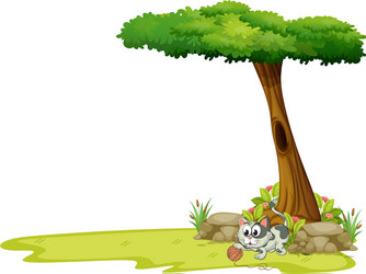 a gray cat playing with string ball under tree vector