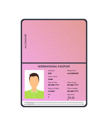 Cartoon international male passport for tourism vector