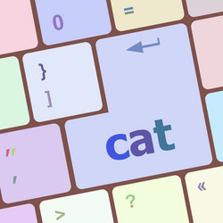 cat word on computer pc keyboard key vector image