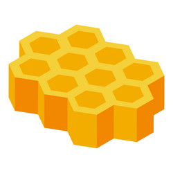 honeycomb structure forming a pattern of hexagons vector image