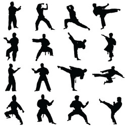 Martial Arts Fighter Silhouettes Vector Image