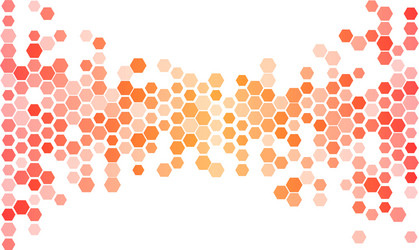 Red Hexagon Pattern Background vector image