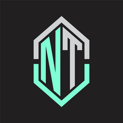 nt logo monogram with hexagon shape and outline vector image