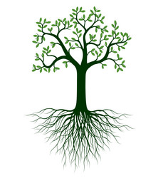 Shape of tree with leaves nd roots outline vector