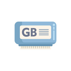ram memory module displaying gb gigabyte capacity vector image