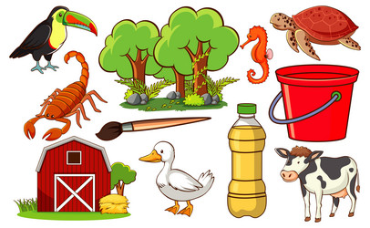 Set of various animals and objects vector