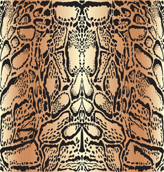 Clouded Leopard Skin Pattern vector image