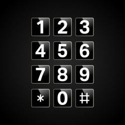 Digital Keypad with Numeric Buttons vector image