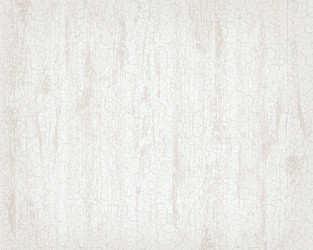 Cracked White Wood Texture Vector Image