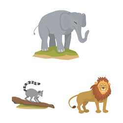 isolated object zoo and park symbol set vector image