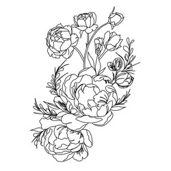 Elegant Peony Line Art Vector Image