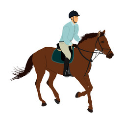Racing Horse in Gallop Vector Image