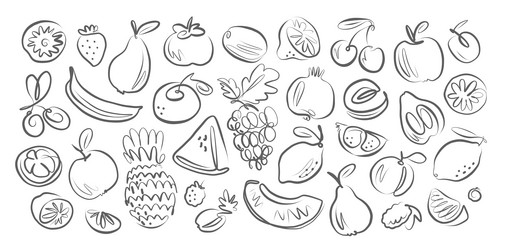 fruits and berries hand drawn doodles sketch vector