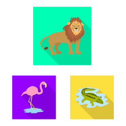 Isolated object safari and animal symbol vector