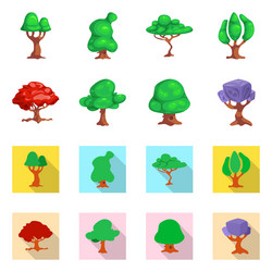 isolated object of tree and nature icon vector image